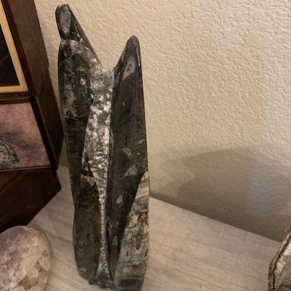 Orthoceras fossil sculpture from Morocco. 5.15lbs - Picture 4 of 6